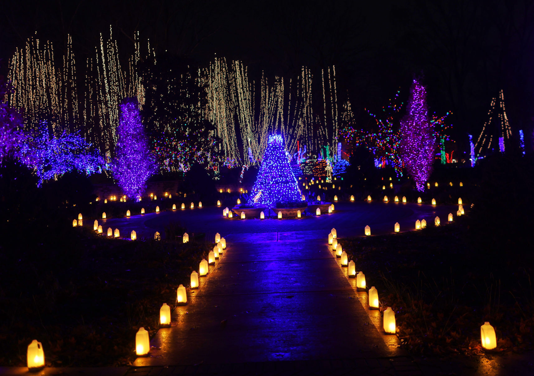 JVG_211121_LIGHTS25
